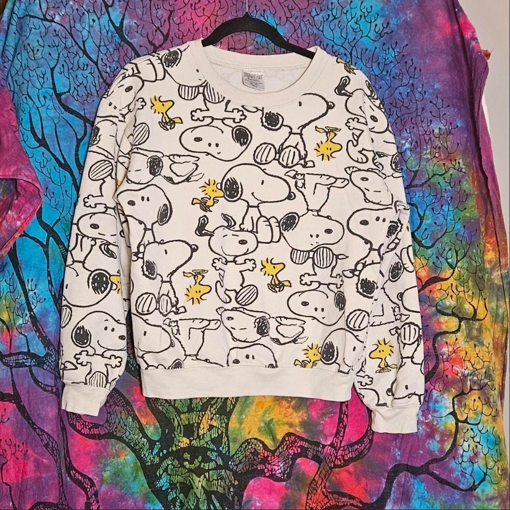 Peanuts Snoopy & Woodstock Pullover Top Size Medium